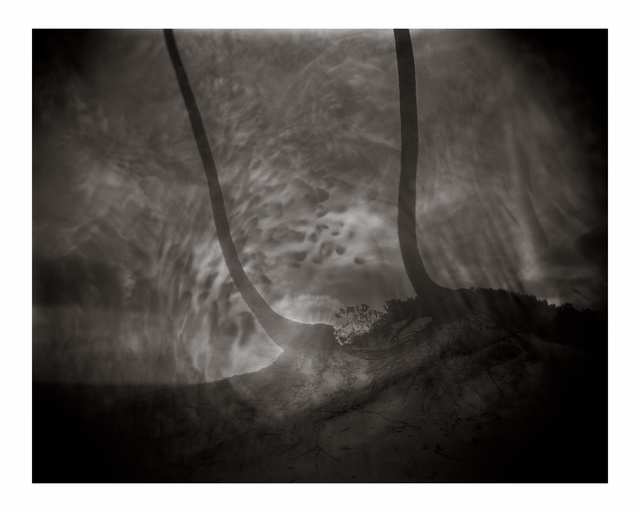 Sally Mann, ‘Untitled’, Photography, Iris print, BAM Benefit Auction