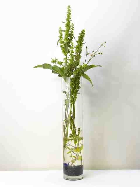 Yahui Wang, ‘A work for a building plot: Make a flower arrangement for me ’, 2011, TKG+