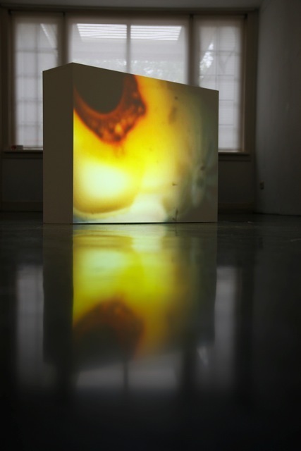 Projection of the 2 min. video animation 'Burn'. Projection of the 2 min. video animation 'Burn'.