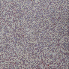 Joseph JURRA TJAPALTJARRI