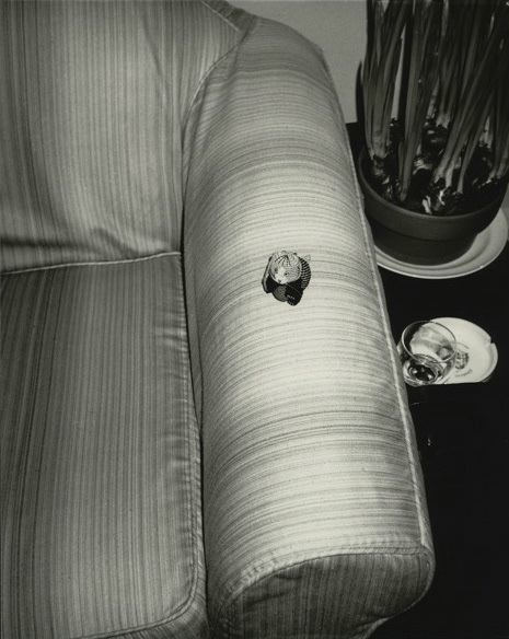 Andy Warhol, ‘Chair’, 1976-1987, Photography, Silver gelatin print, Hammer und Partner