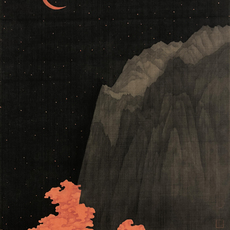Zuo Xiaokang 左小康
