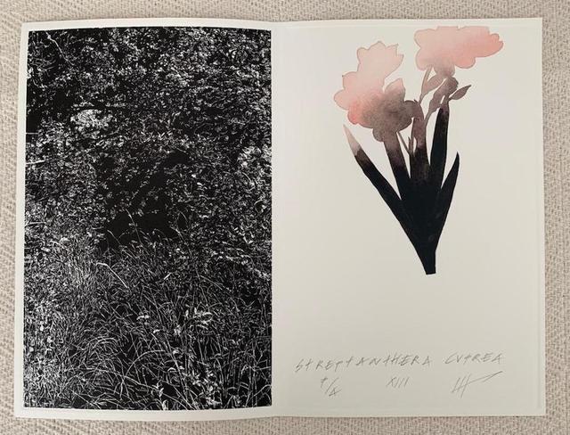 Jan Hendrix, ‘Drawing the Distance’, 2018, Drawing, Collage or other Work on Paper, Aquating and Watercolor, Proyecto Gráfika 21