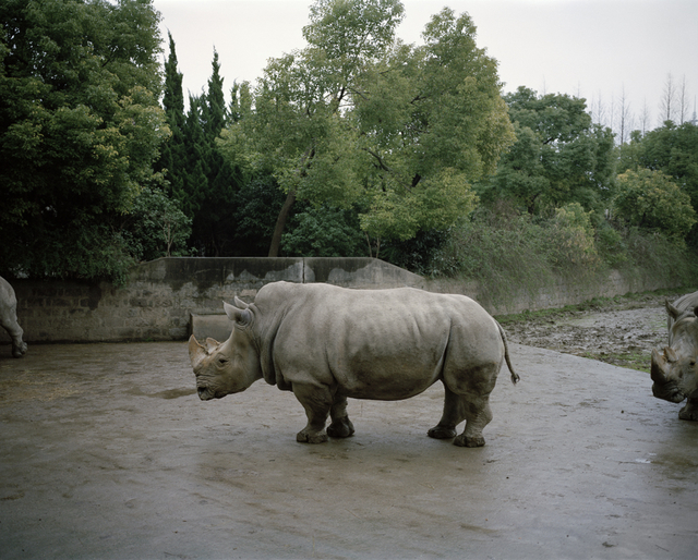 André Príncipe, ‘Untitled’, 2014, Carlos Carvalho- Arte Contemporanea