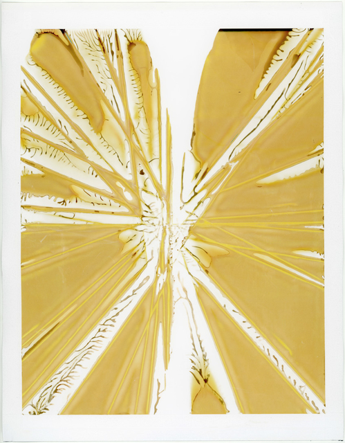 Jiang Pengyi, ‘Inconsolable Memories No.16’, 2015, Photography, Polaroid, ShanghART