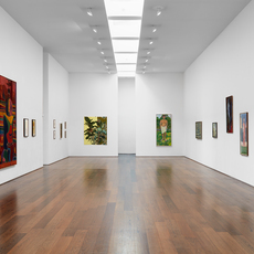 Forces of Nature curated by Hilton Als