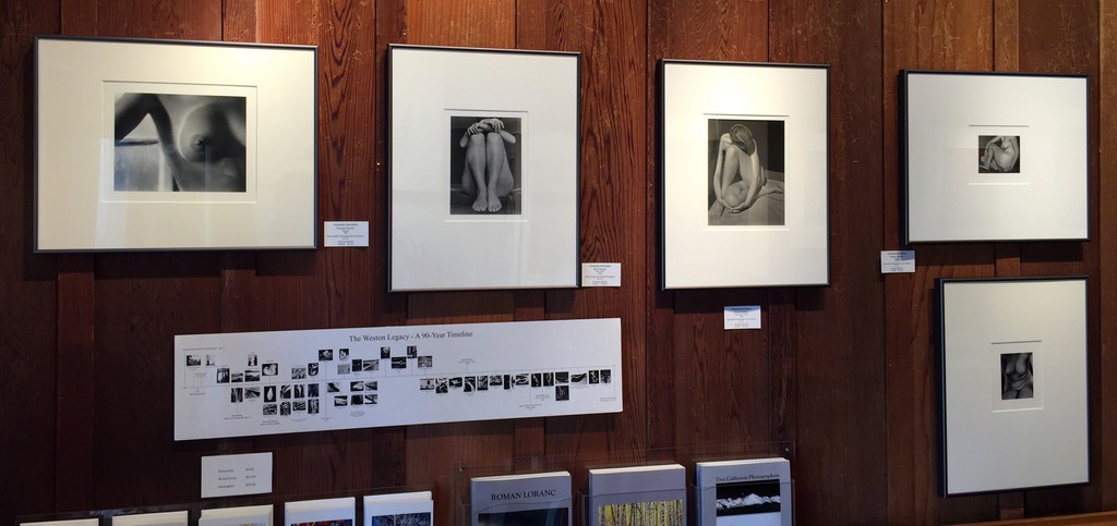 Early nudes by Edward Weston and Brett Weston Early nudes by Edward Weston and Brett Weston