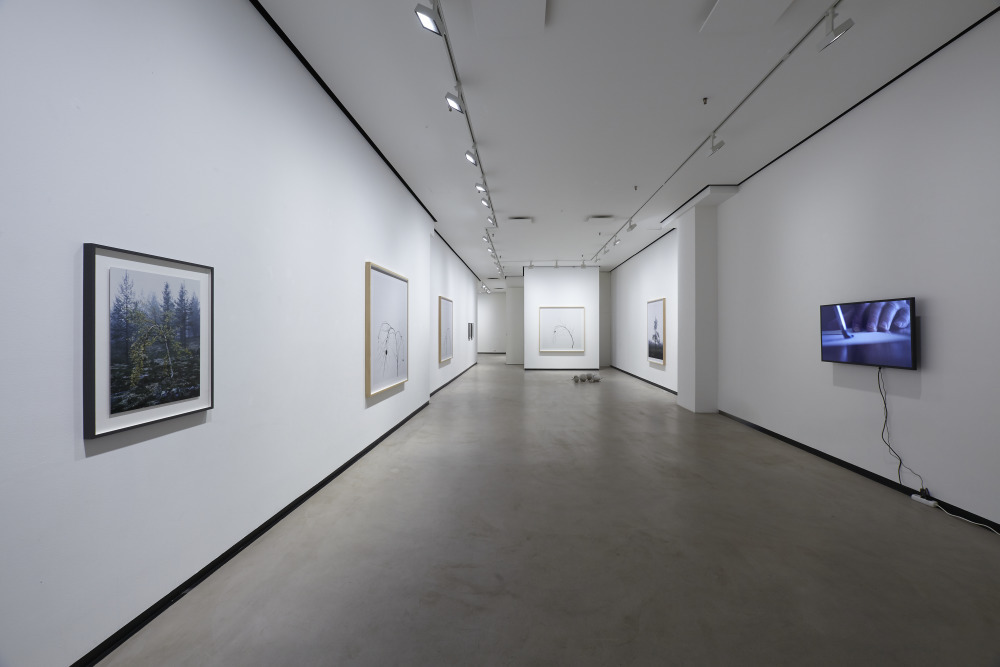 Axel Antas, Uncanny Valley, 4.2. - 26.2.2017 Axel Antas, Uncanny Valley, 4.2. - 26.2.2017