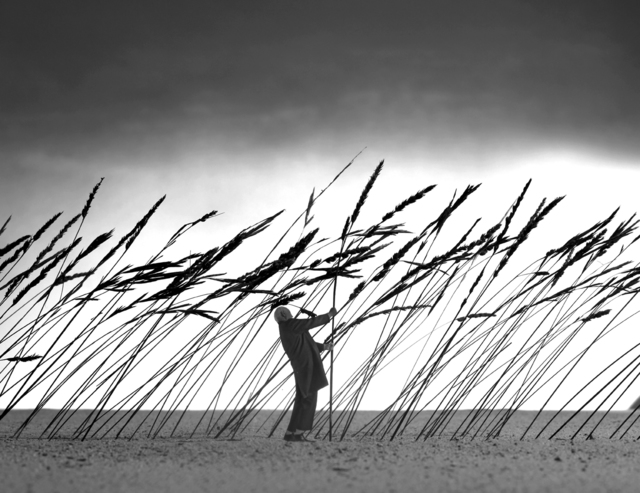 Gilbert Garcin, ‘Sauver la nature - Saving nature’, 2010, Photography, Gelatin silver print, Stephen Bulger Gallery