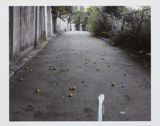 Honggoo Kang, ‘The House - Apricot’, 2010, ONE AND J. Gallery