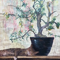 Ying-Syuan Huang