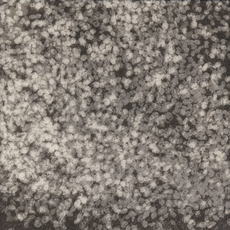 Chaco Terada, ‘Flower Dust II’, 2014, photo-eye Gallery