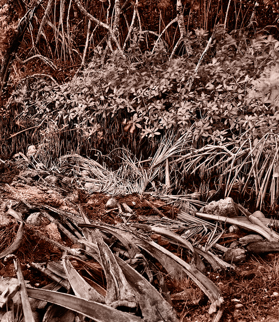 Holly King, ‘Remains’, 2009, Art Mûr