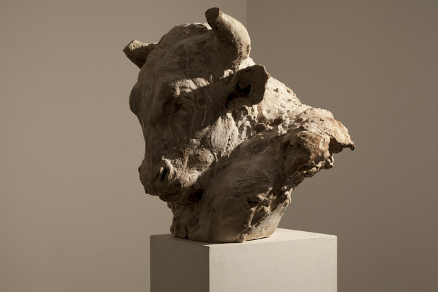 Nicola Hicks, ‘Relic’, 2014, Flowers