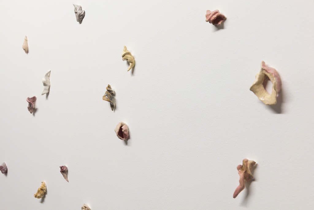 Brígida Baltar -- A Carne do Mar -- exhibition view -- Galeria Nara Roesler | São Paulo, 2018 -- photo Everton Ballardin © courtesy of the artist and Galeria Nara Roesler Brígida Baltar -- A Carne do Mar -- exhibition view -- Galeria Nara Roesler | São Paulo, 2018 -- photo Everton Ballardin © courtesy of the artist and Galeria Nara Roesler