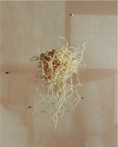 João Maria Gusmão & Pedro Paiva, ‘Flying Spaghetti’, 2013, Cristina Guerra Contemporary Art
