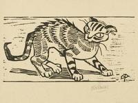 Katze