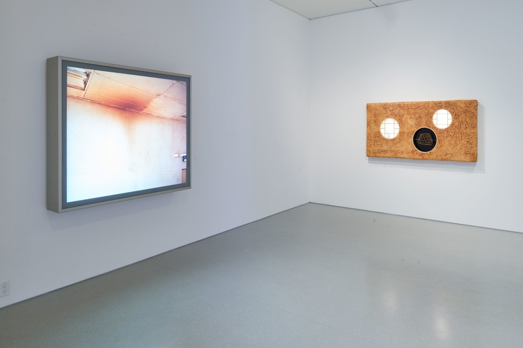 Installation view. Artwork, left to right: © Jeff Wall, © Anicka Yi. Photo: Glen Cheriton. Courtesy Gagosian. Installation view. Artwork, left to right: © Jeff Wall, © Anicka Yi. Photo: Glen Cheriton. Courtesy Gagosian.