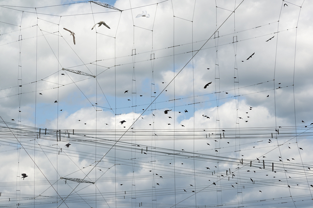 Robert Bean, ‘Etudes (for Marconi) #5’, 2014, Photography, Archival Pigment Print, Circuit Gallery