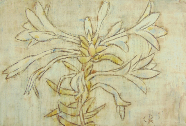 Christian Rohlfs, ‘Hosta | Funkie’, 1937, Gilden's Art Gallery