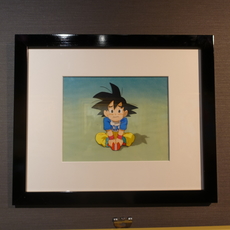Dragon Ball Series by Toei Animation