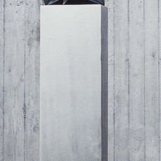 Erich Hauser