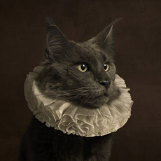 Marie Cecile Thijs
