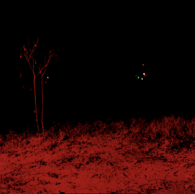 Dayanita Singh, ‘Dream Villa (44) (red tree)’, ca. 2006-2008, Photography, C-Print, Nature Morte