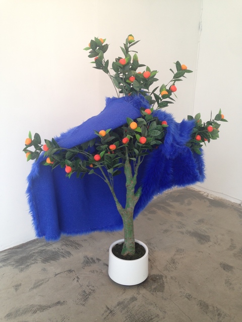 GORDON HOLDEN, ‘FRUIT FUR’, 2015, Paul Loya Gallery