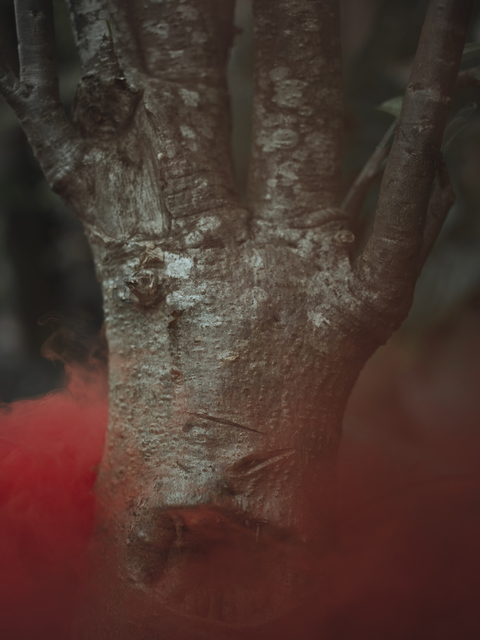 Cristina De Middel, ‘ISIGIDI’, 2014, LA NEW GALLERY