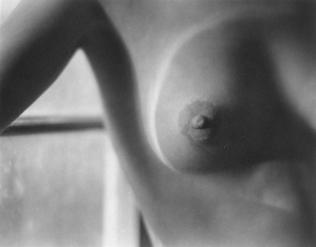 Edward Weston, ‘Nude’, 1920, Photography, Platinum, Michael Dawson Gallery