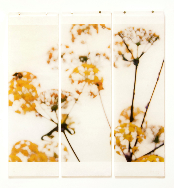 Jeri Eisenberg, ‘Wild Fennel, No.2 (triptych)’, 2018, Carrie Haddad Gallery