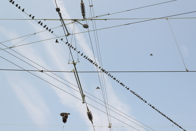 Robert Bean, ‘Etudes (for Marconi) #4’, 2014, Photography, Archival Pigment Print, Circuit Gallery