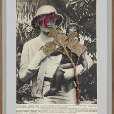 Lien Botha