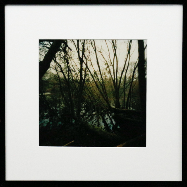 Dianne Bos, ‘Pool of Peace, Spanbroeken Crater, Trees, Flanders’, 2015, Newzones