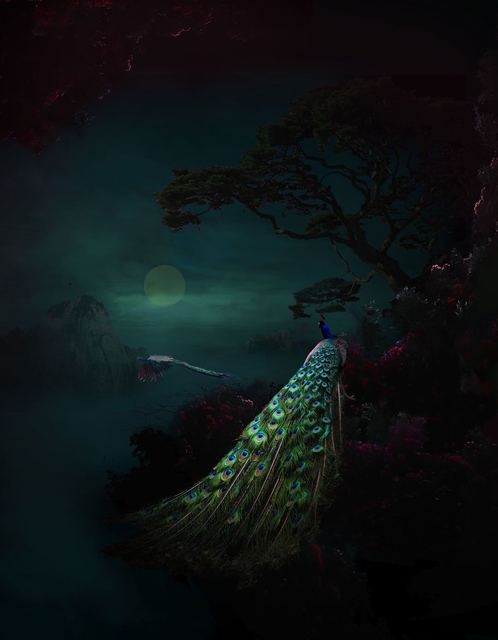 Wan Taifeng