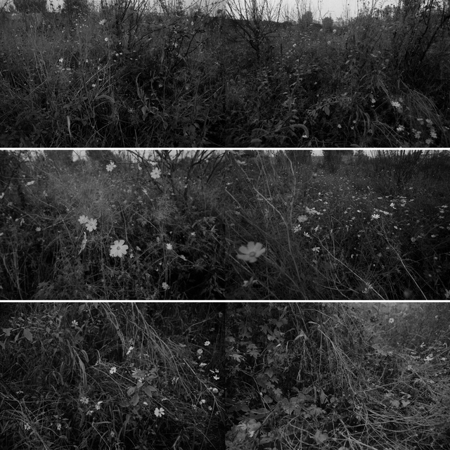 Wang Youshen, ‘Per Square Meter·My Landscape 4 每平米·我的风景4’, 2010-2011, Photography, B&W Chromogenic Print, ShanghART