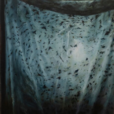 Tangting Li