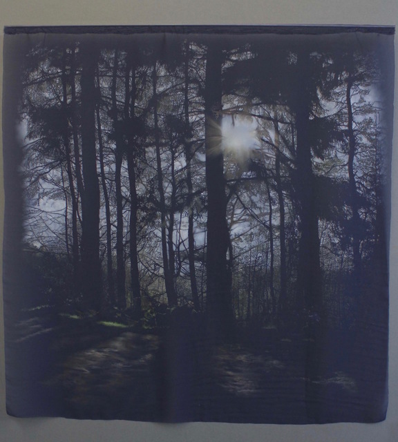Sian Smith, ‘Still’, 2019, Accesso Galleria