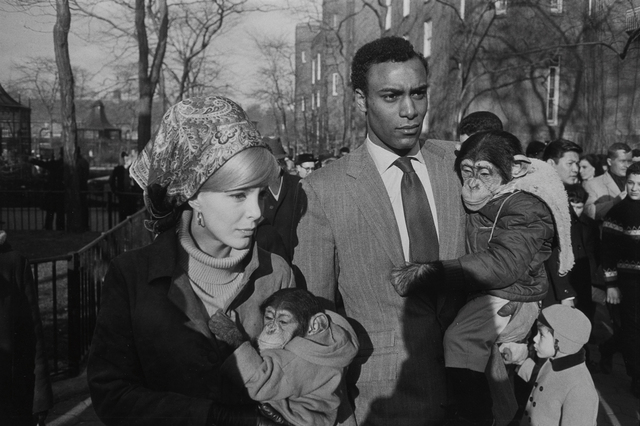 Garry Winogrand, ‘Central Park Zoo, New York’, 1967-printed later, Photography, Gelatin silver print, Phillips