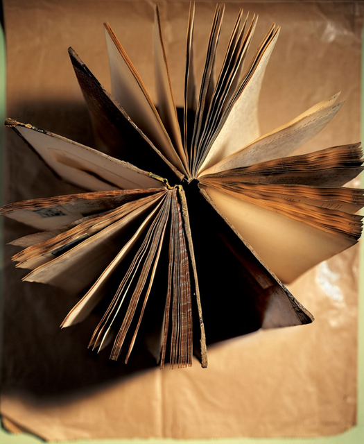 Laurie Rubin, ‘Round Book’, Chicago Art Source