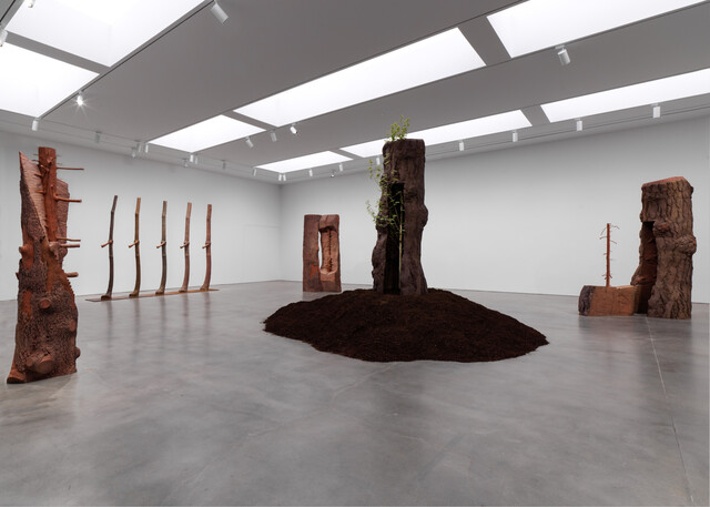 Giuseppe Penone: The Reflection of Bronze