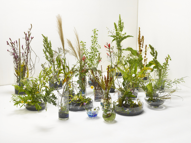 Yahui Wang, ‘A work for a building plot: Make a flower arrangement for me’, 2011, TKG+