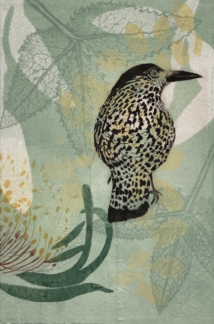 Trudy Rice, ‘Who me? Wattlebird ’, 2019, Print, Solarplate Etching & Monotype, MELBOURNE STUDIOS #trudyrice & #lisasewards