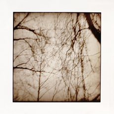 Nancy Rexroth