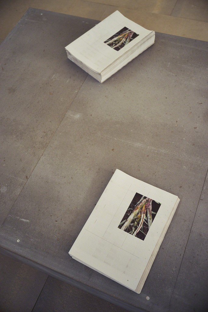 Photo by Alex John Beck for Artsy. Photo by Alex John Beck for Artsy.