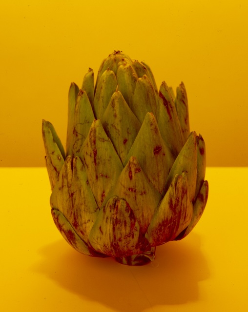 Neil Winokur, ‘Artichoke ’, Photography, Fujiflex Crystal Archive Print, Janet Borden, Inc.