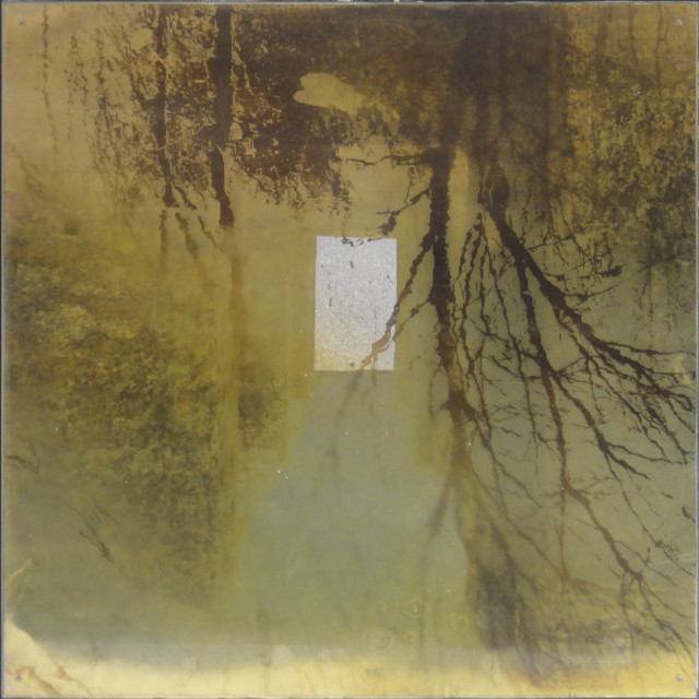 Dorothy Simpson Krause, ‘Milk of Paradise’, 2010, Photography, Lenticular print with encaustic, 571 Projects