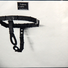 Zoe Leonard