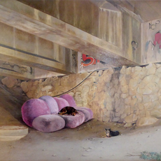 Marco Pace